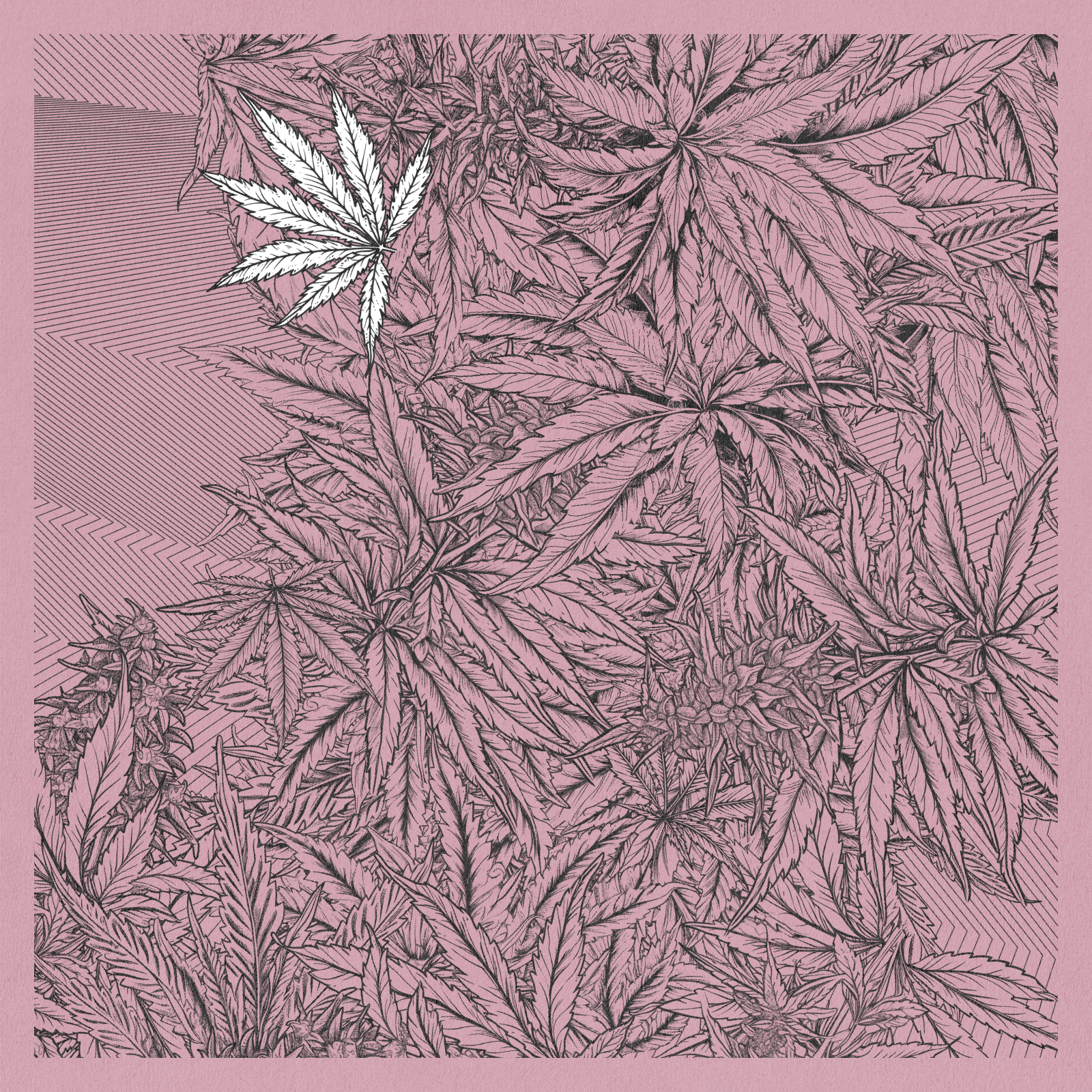zancannabis #352 static NFT preview
