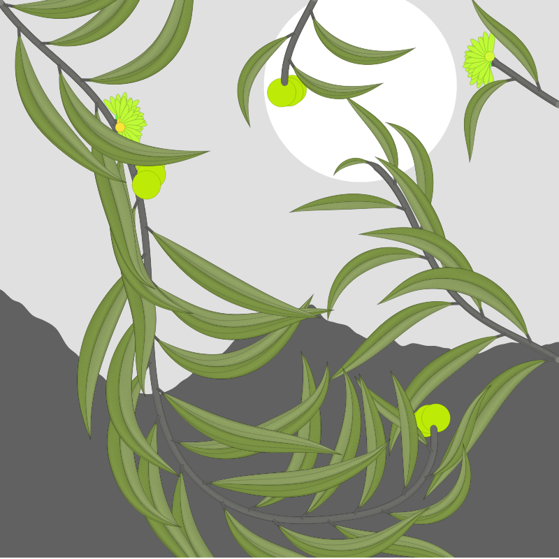 Through the leaves #389 static token preview
