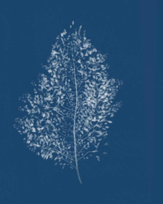 Cyanotypes #254 static token preview