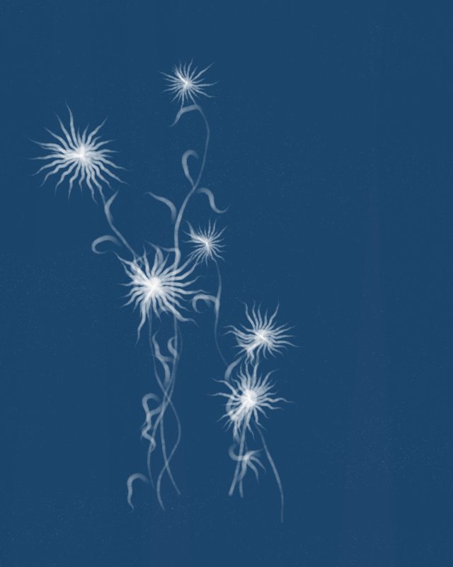 Cyanotypes #77 static token preview