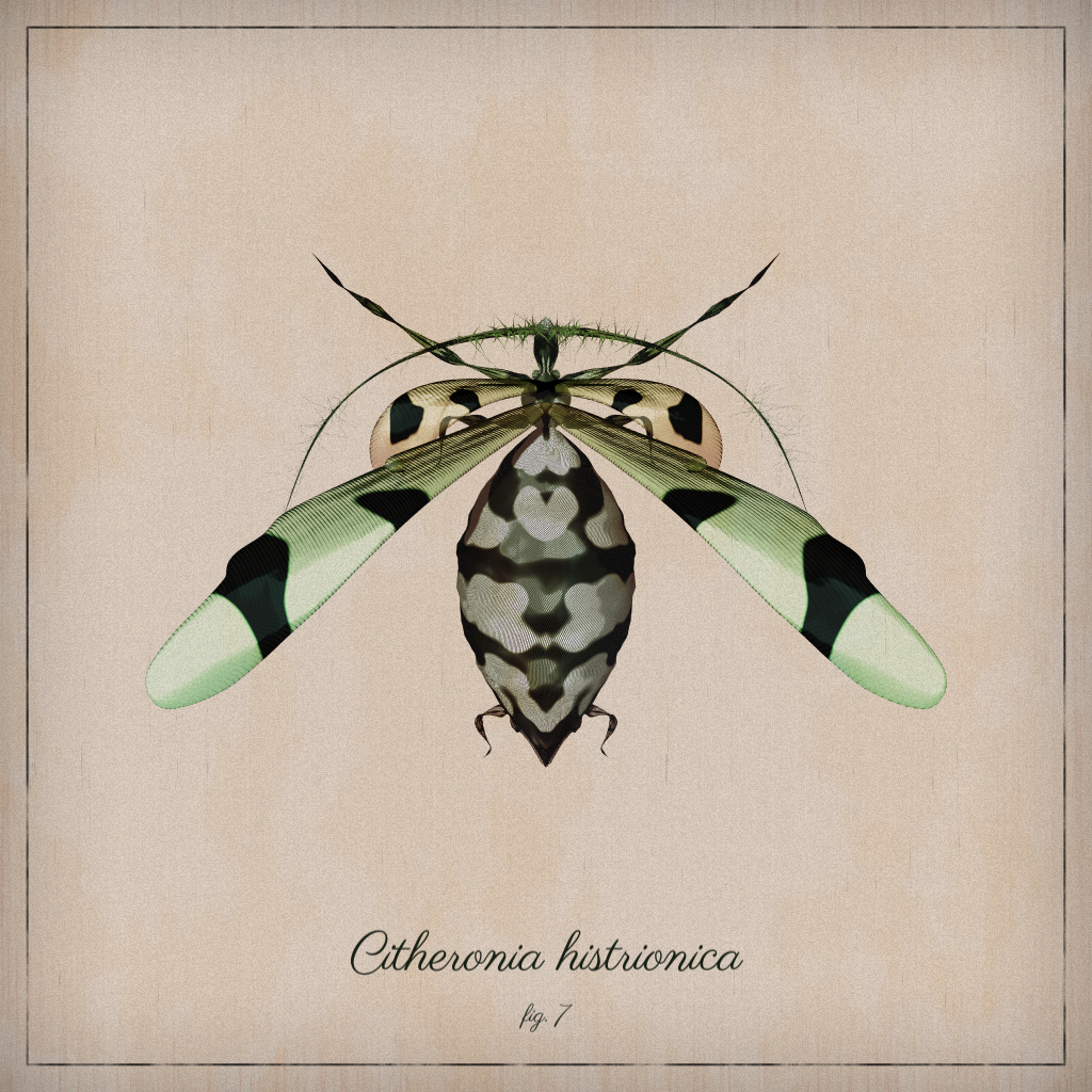 ProcGen Entomology #435 static NFT preview