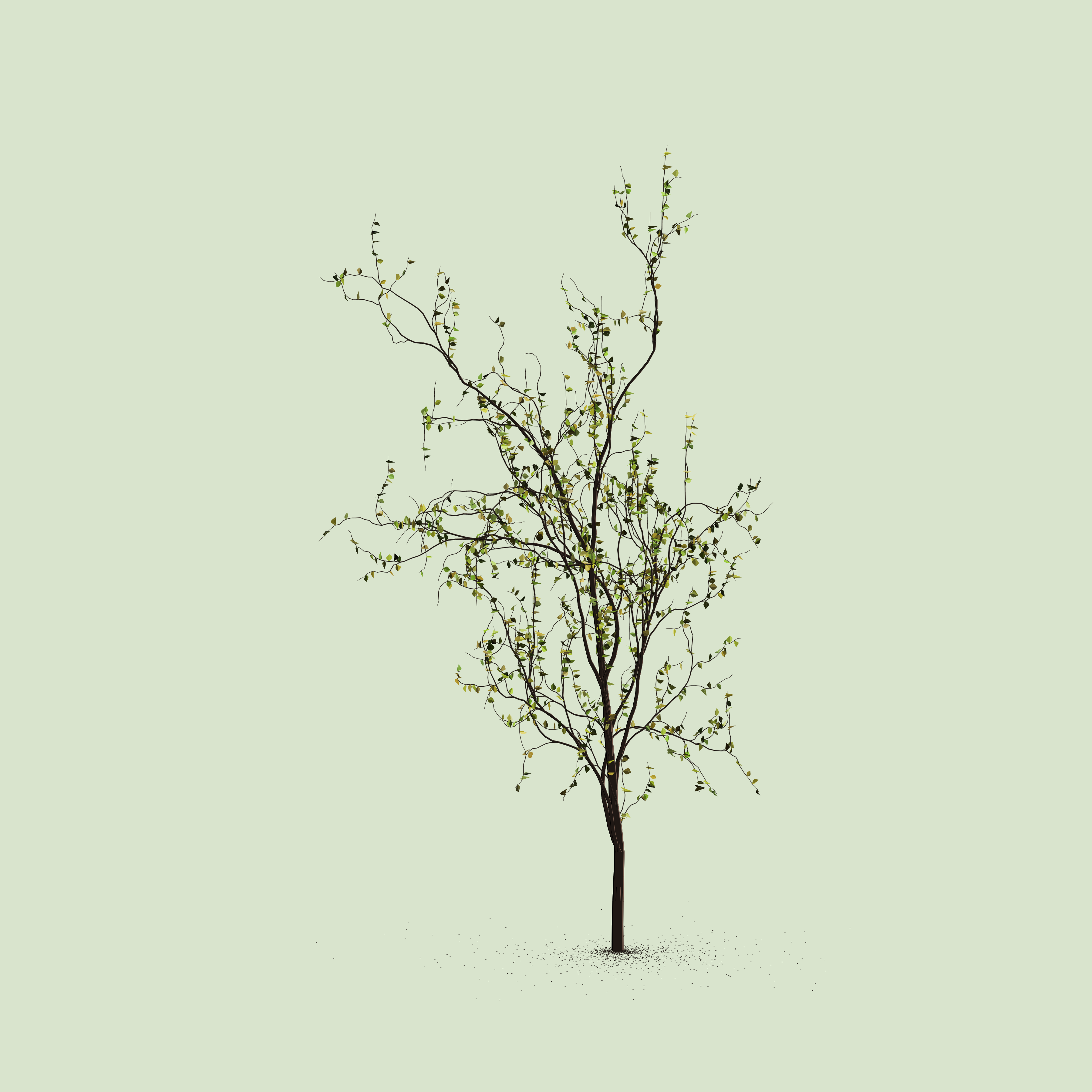 Little Trees #41 static token preview