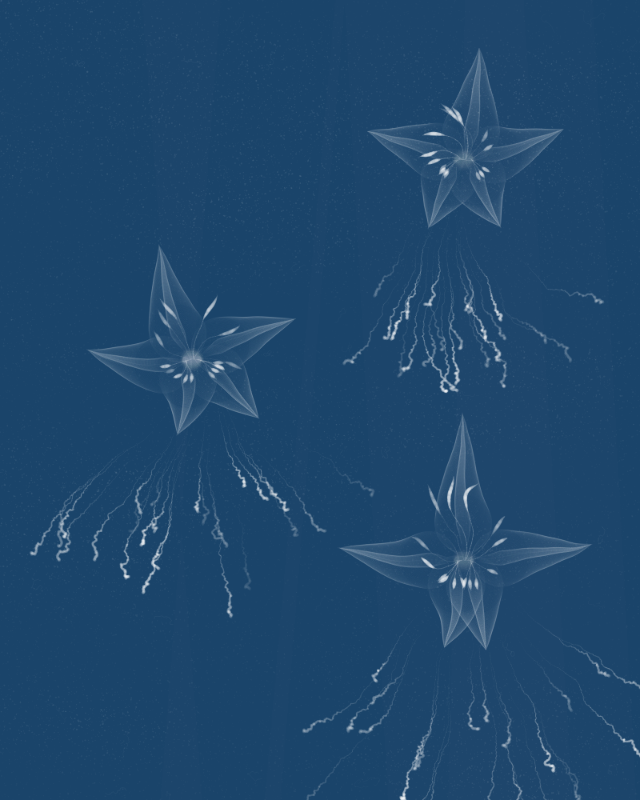 Cyanotypes #253 static token preview