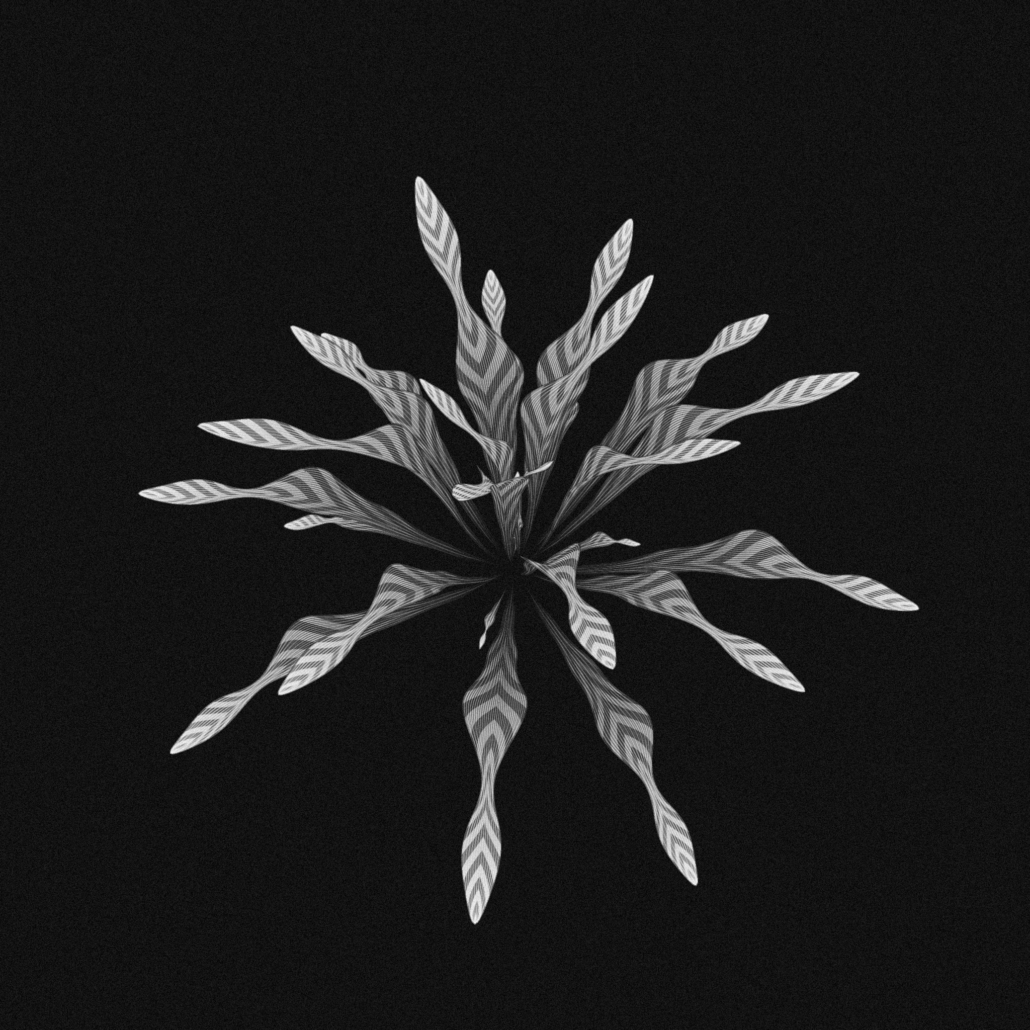 plant #36 static NFT preview