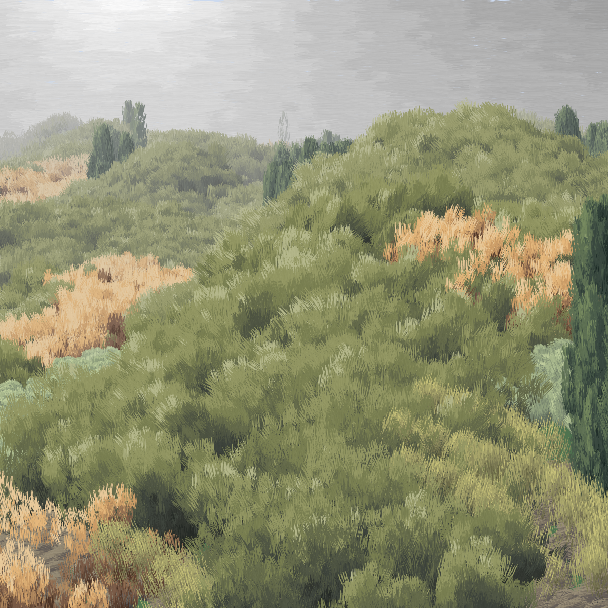 Provence #136 static token preview