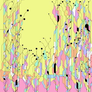 Hedge project preview