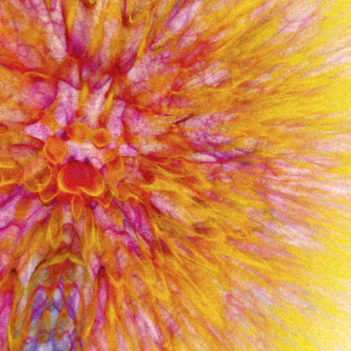 Good Enough #113 static NFT preview