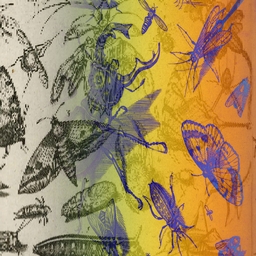 hash insects project preview