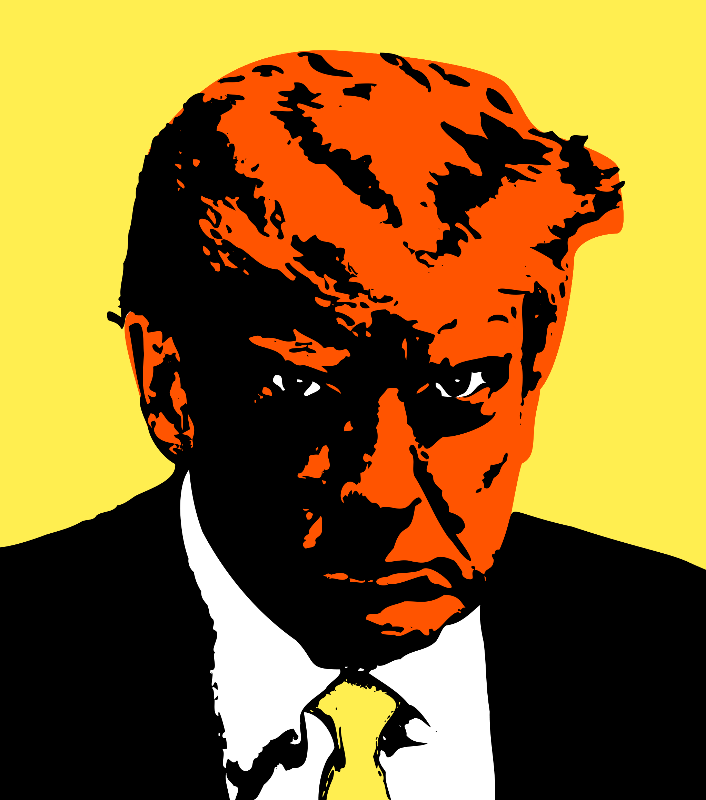 Donald Trump #272 static NFT preview
