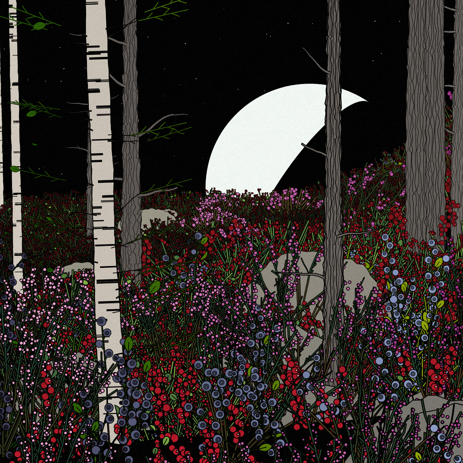 Swedish Forest #106 static NFT preview