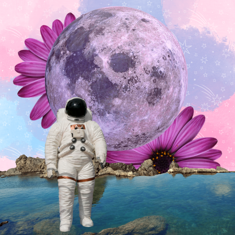 Pink Moon #34 static token preview