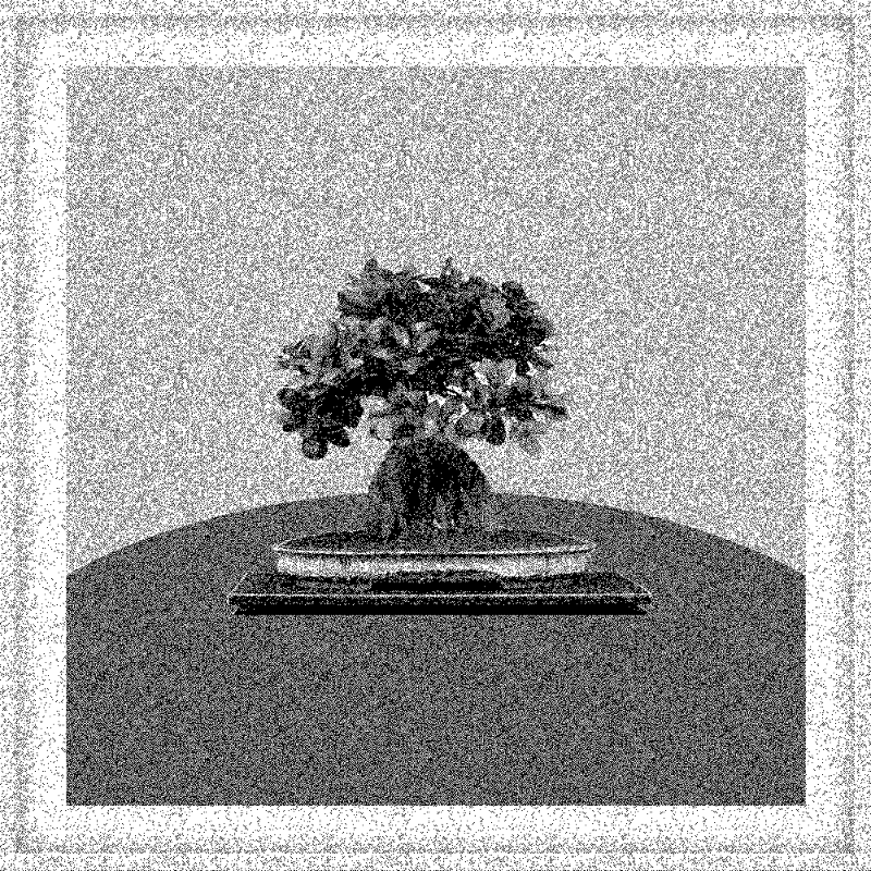 Bonsai Bonanza #185 static token preview