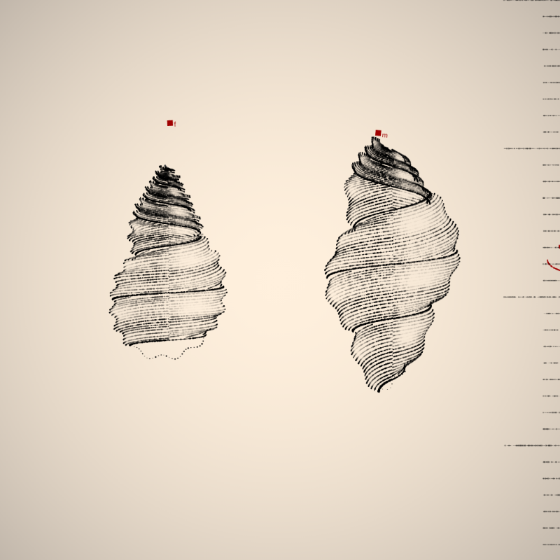 Two Specimen #228 static NFT preview