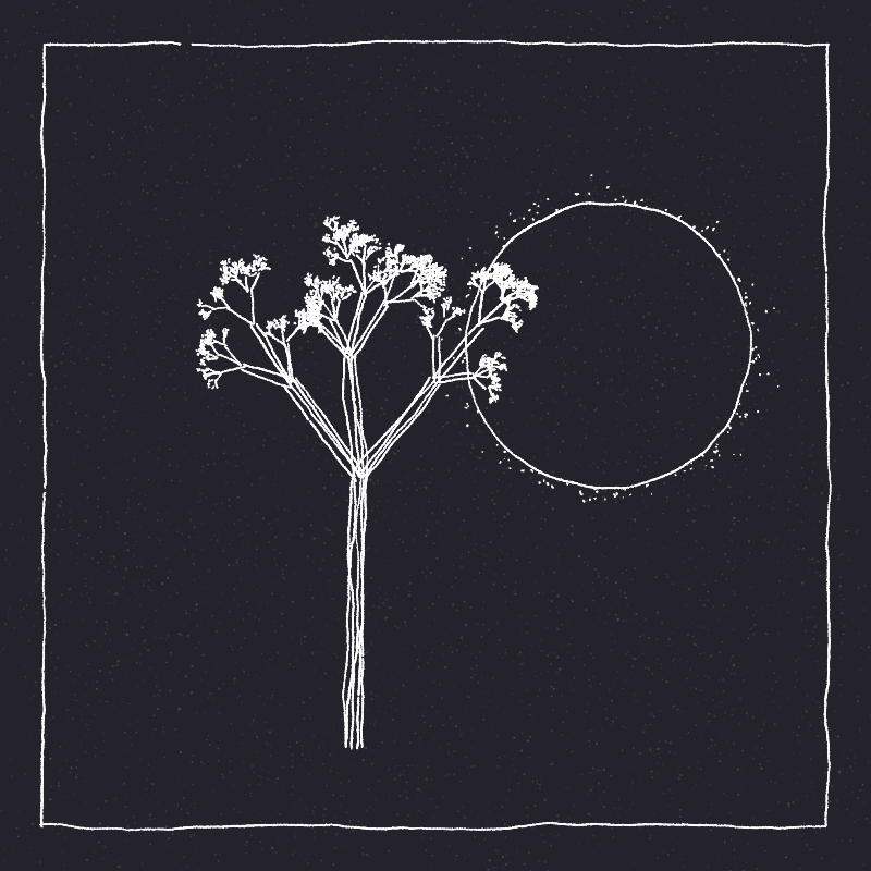 Hand-Drawn Tree #51 static token preview