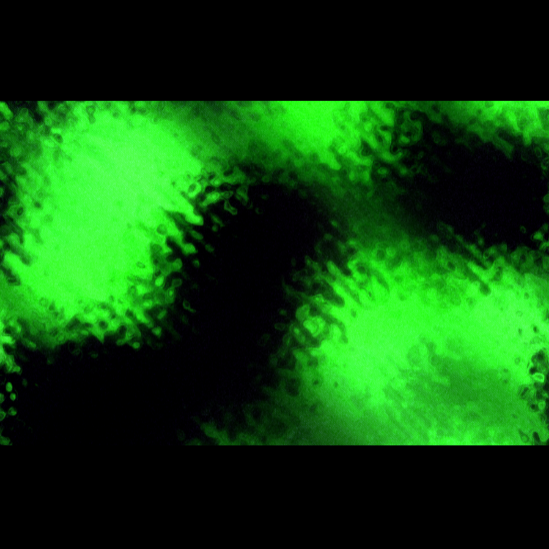 ƧЦBƧƬЯΛƬӨ DΣ PӨΣIЯΛ #61 static token preview