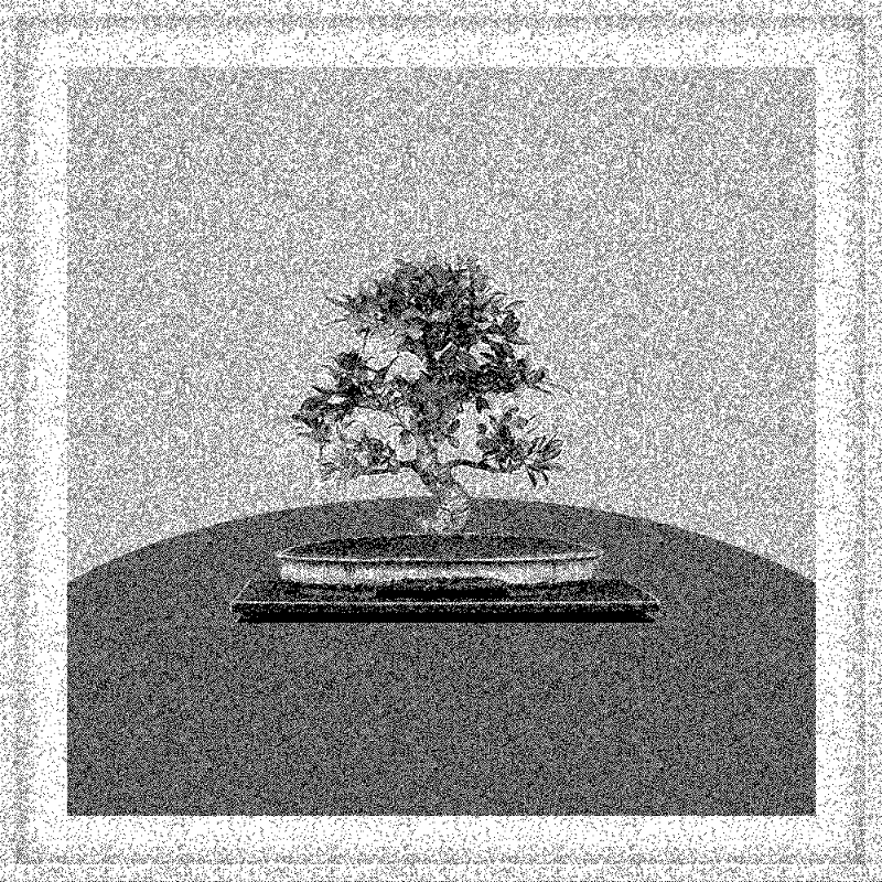 Bonsai Bonanza #360 static token preview