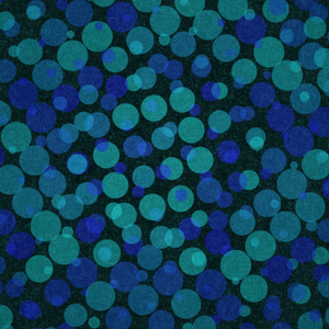 Quantum Foam project preview