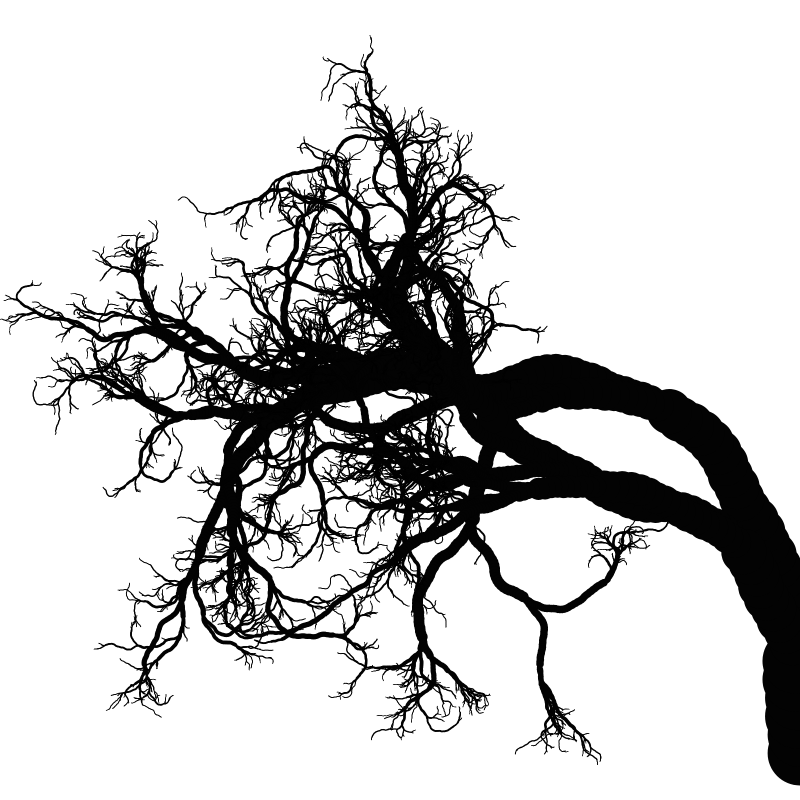 Tree 01 #51 static token preview