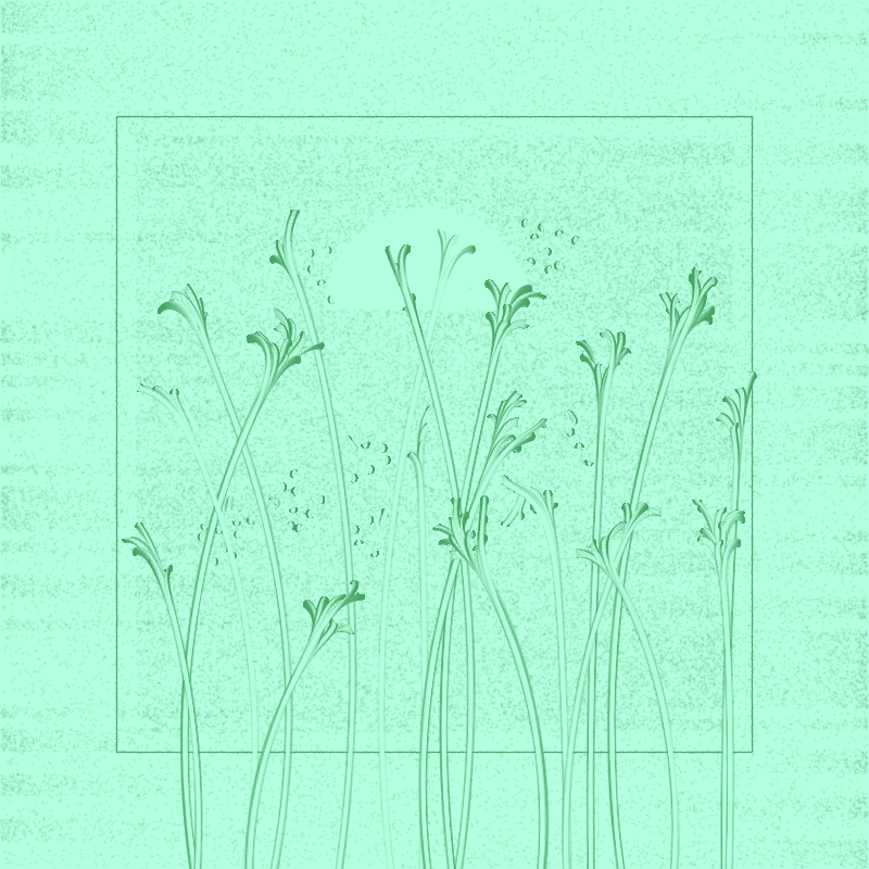 string_pllu #65 static NFT preview