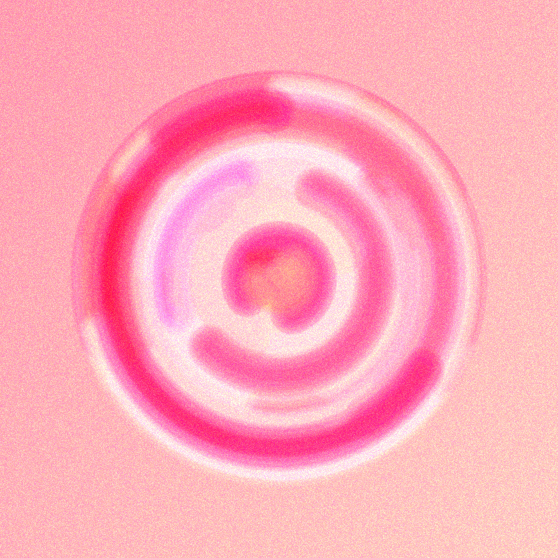 Wisp #467 static token preview