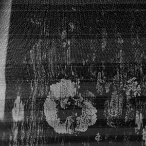 Overlaid project preview
