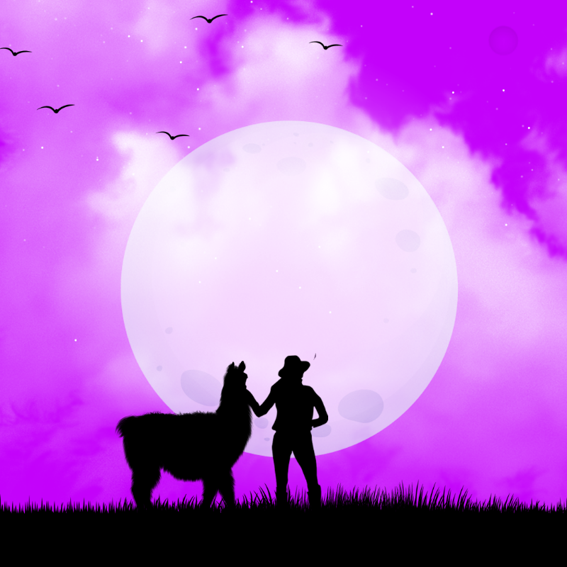We Care...Llama #1 static token preview