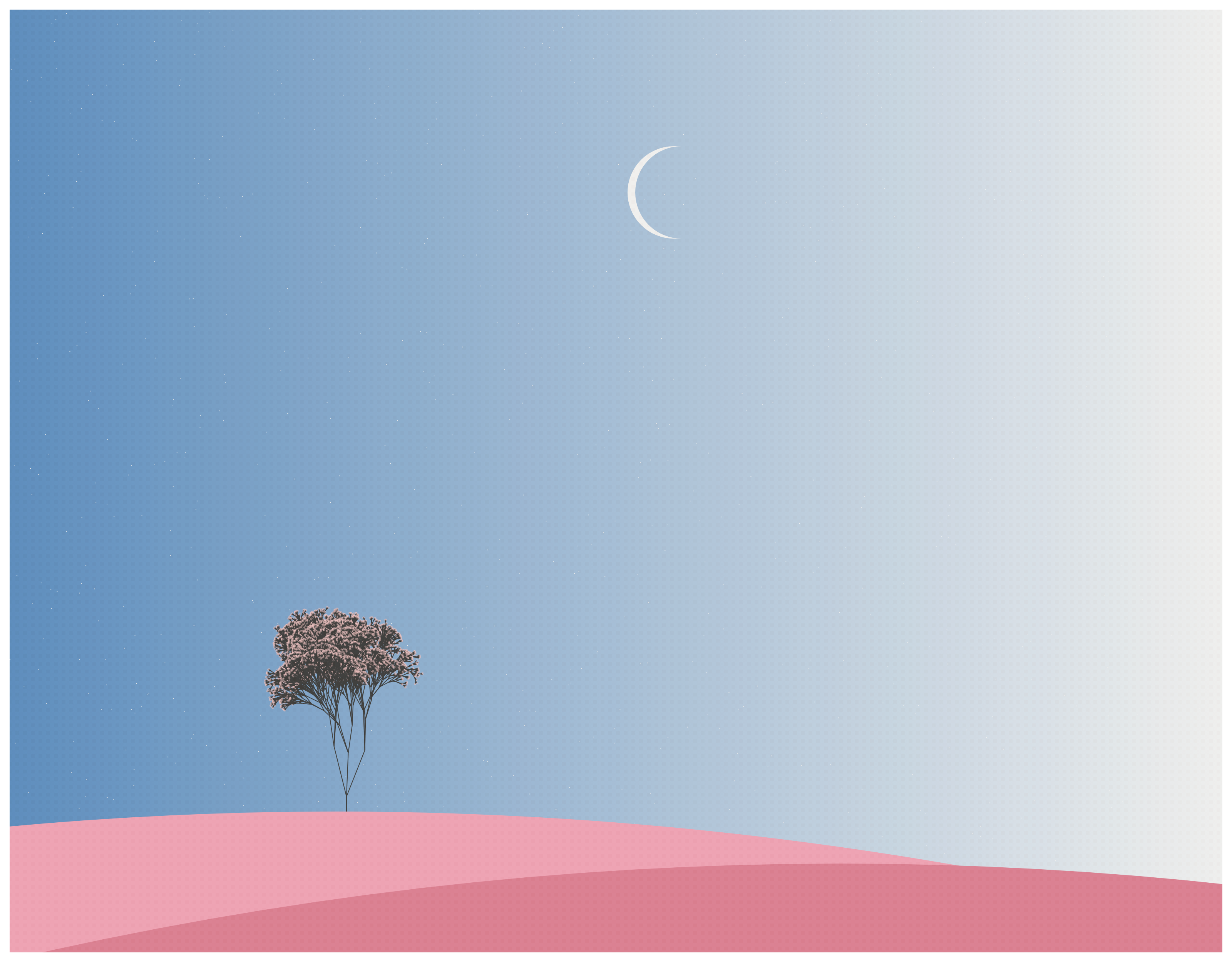 Ecos de Calma #78 static NFT preview