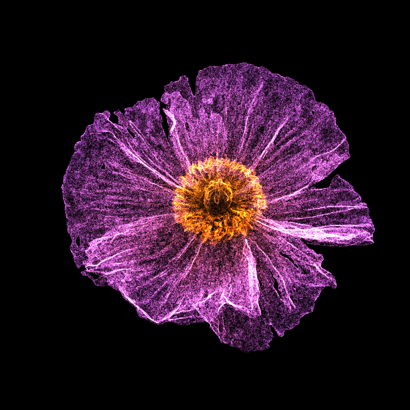 White Poppy 30 #89 static token preview