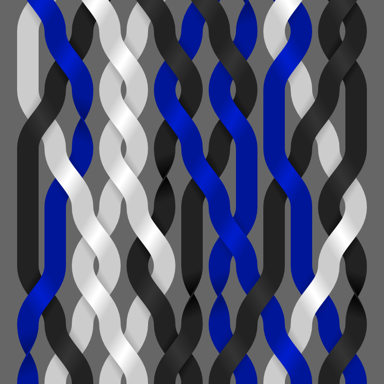 Endless Braids #13 static token preview