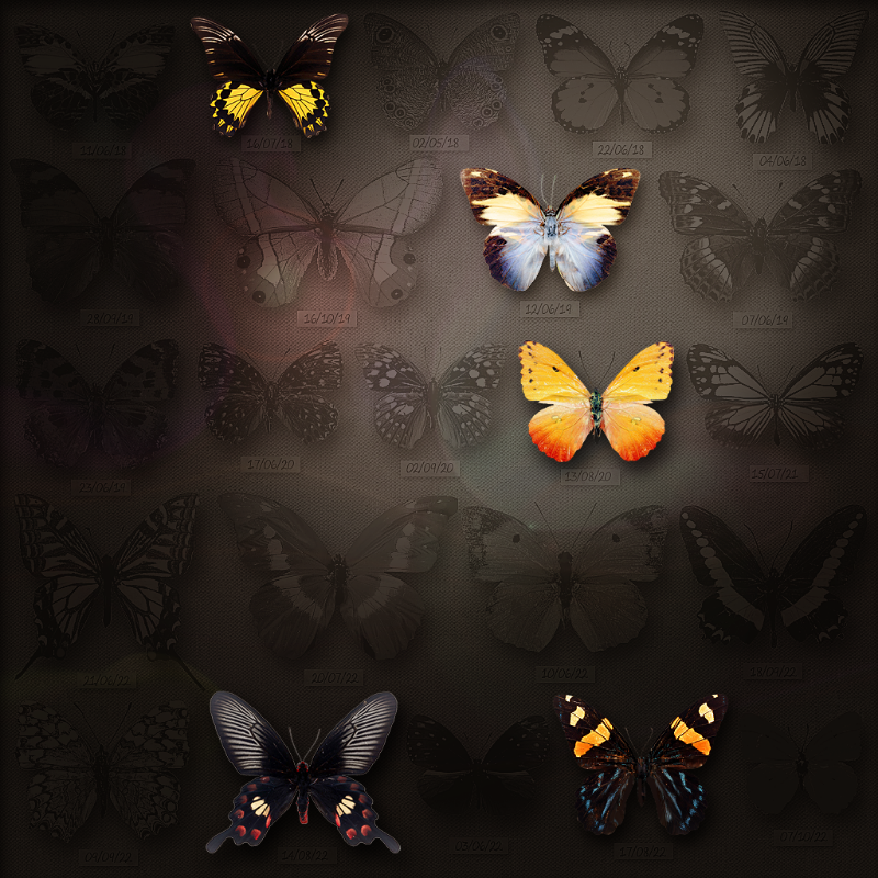 Save Butterfly World #37 static token preview