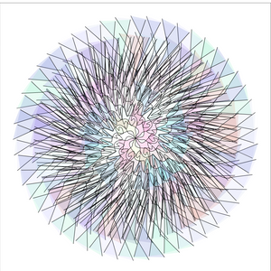 Concentric Circle Shapes project preview
