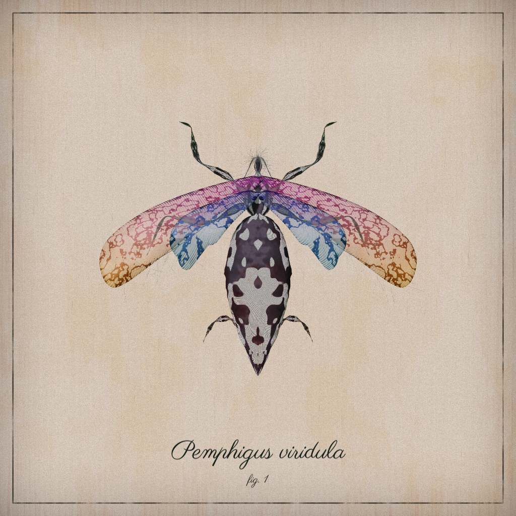 ProcGen Entomology #46 static NFT preview
