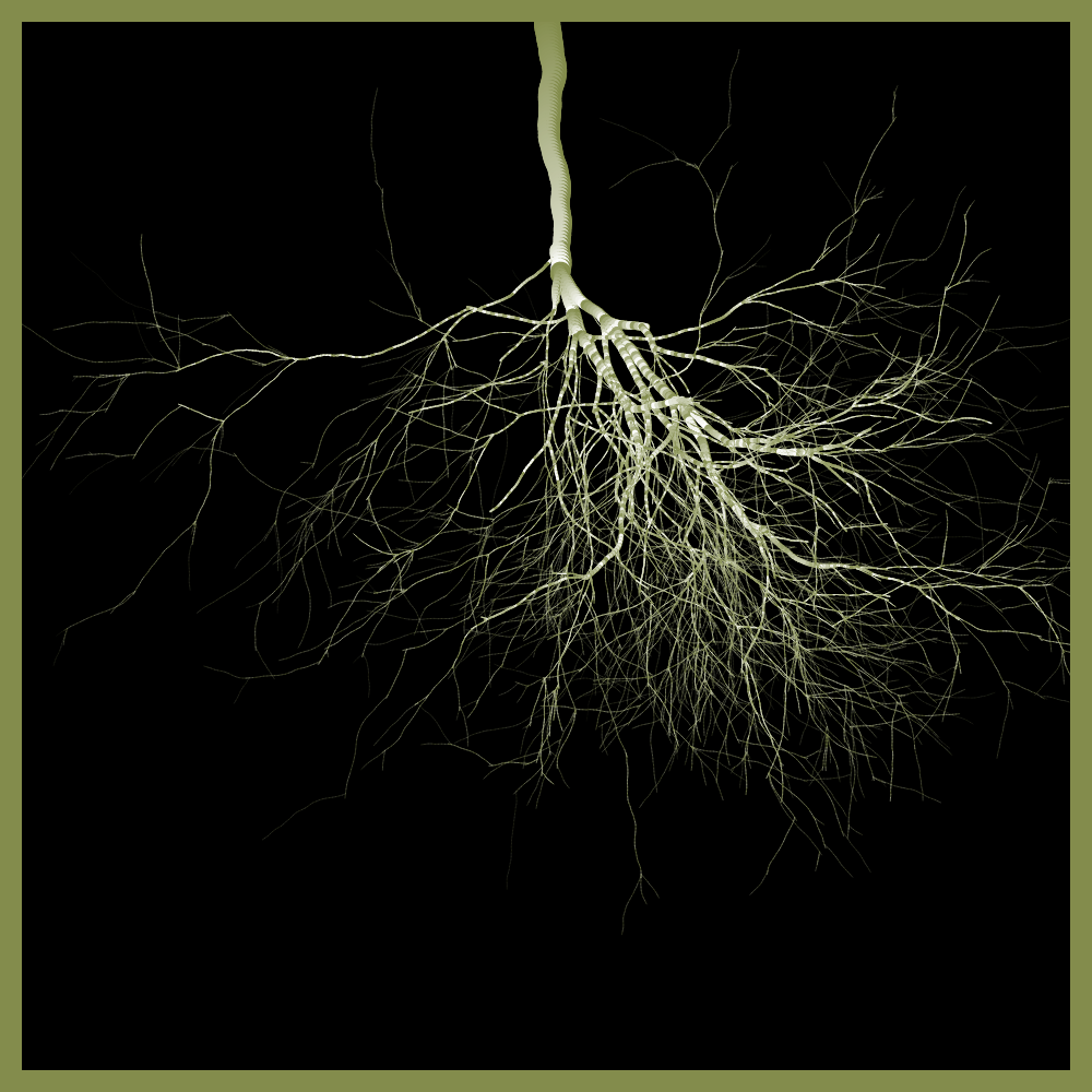 Arbres suspendus #67 static token preview