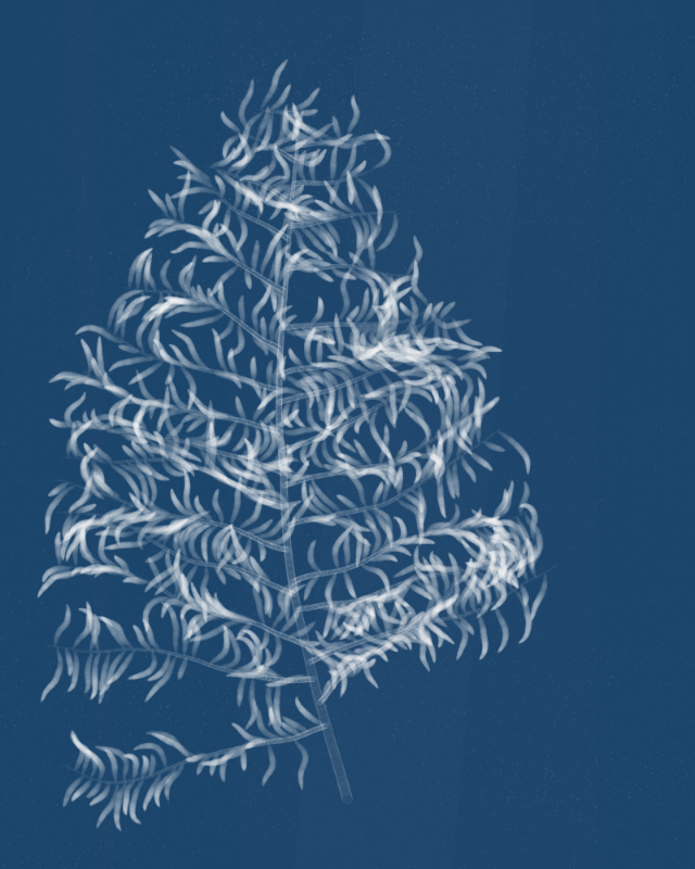 Cyanotypes #131 static token preview