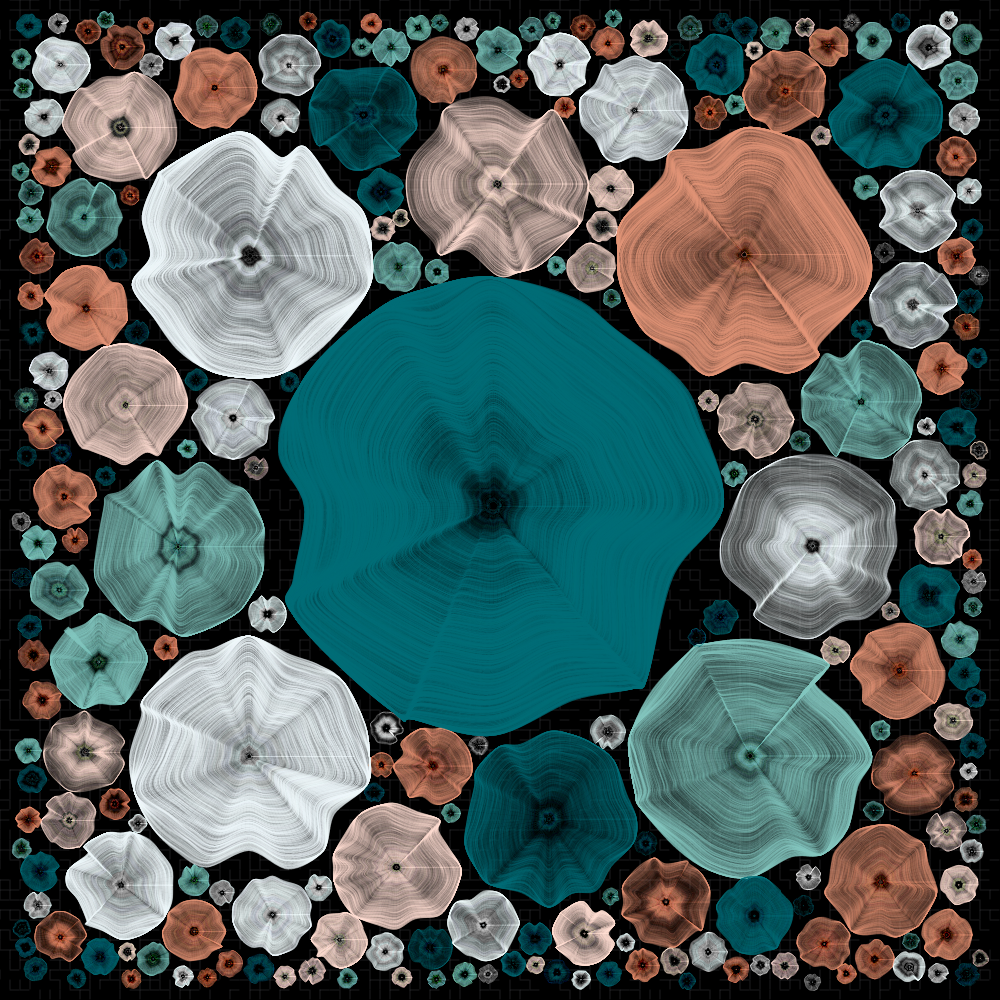Process #40 static NFT preview