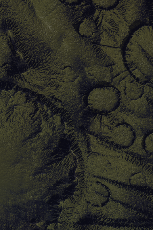 Reconnaissance #317 static NFT preview