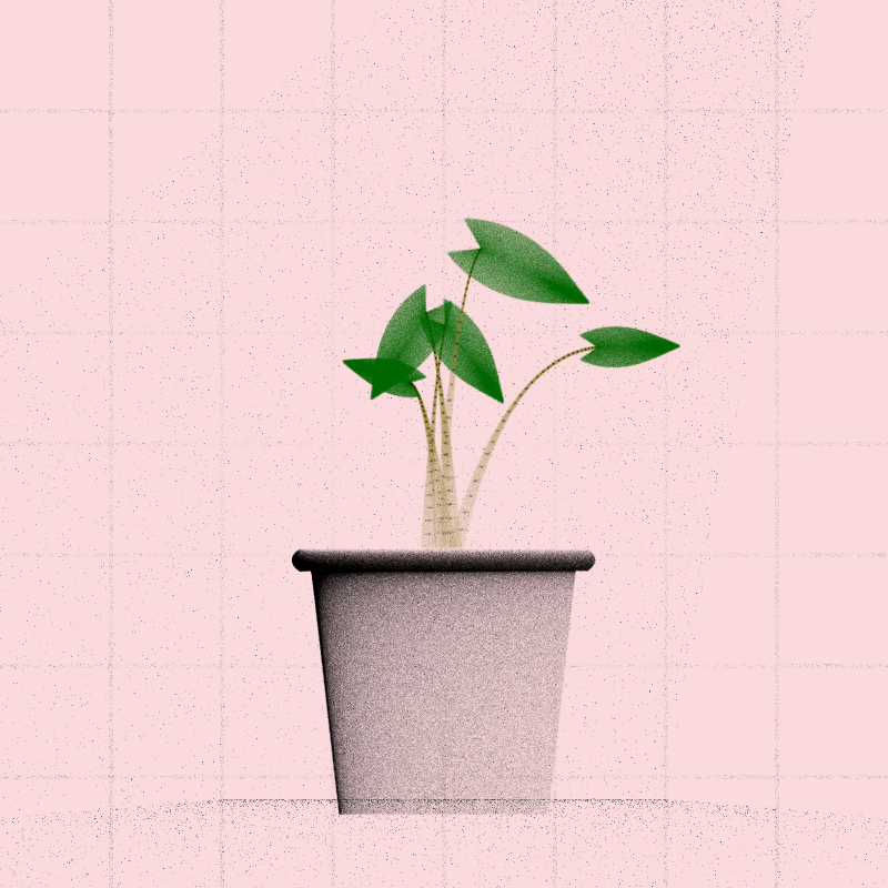 🌱 Potted & Printed #261 static NFT preview