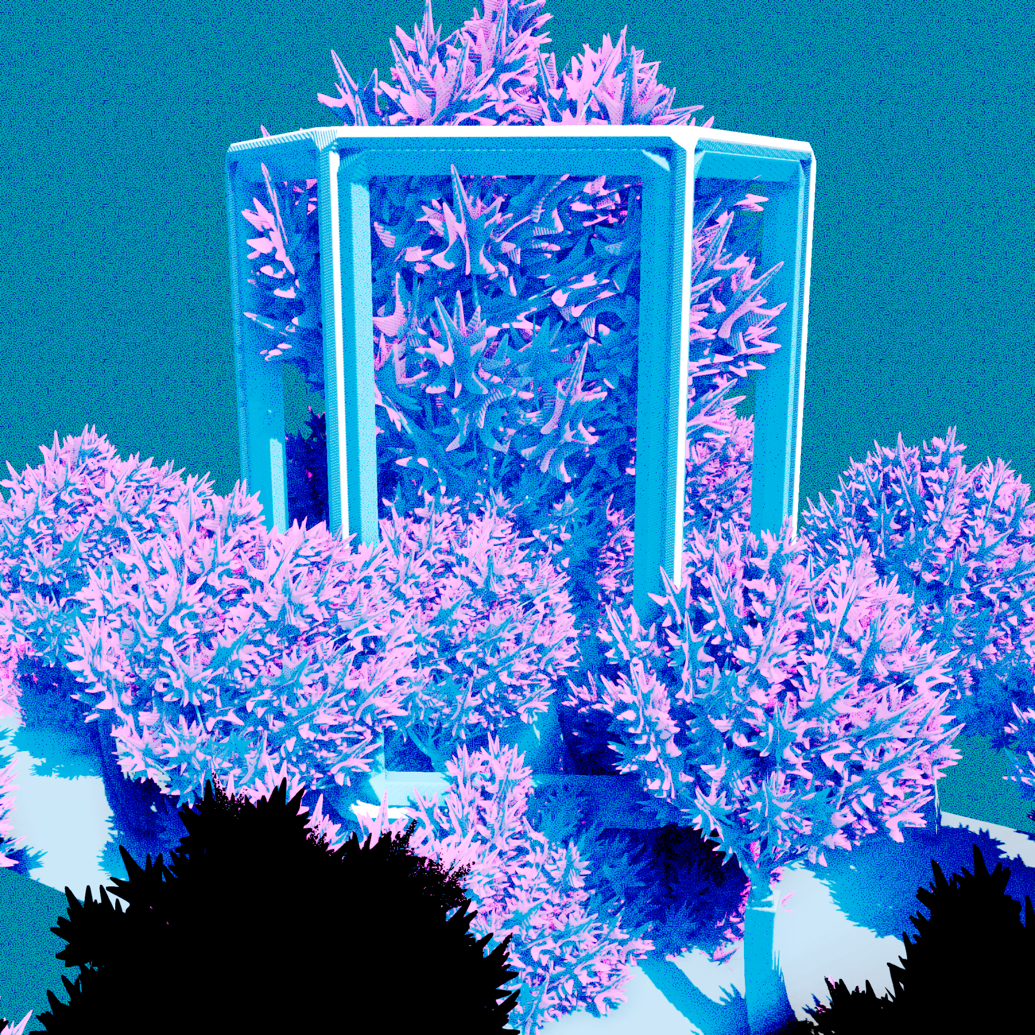 Urban Flora #465 static NFT preview
