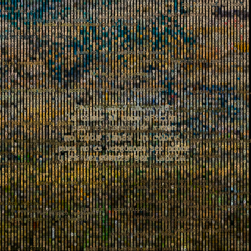 A hacker in the Pampas #138 static token preview