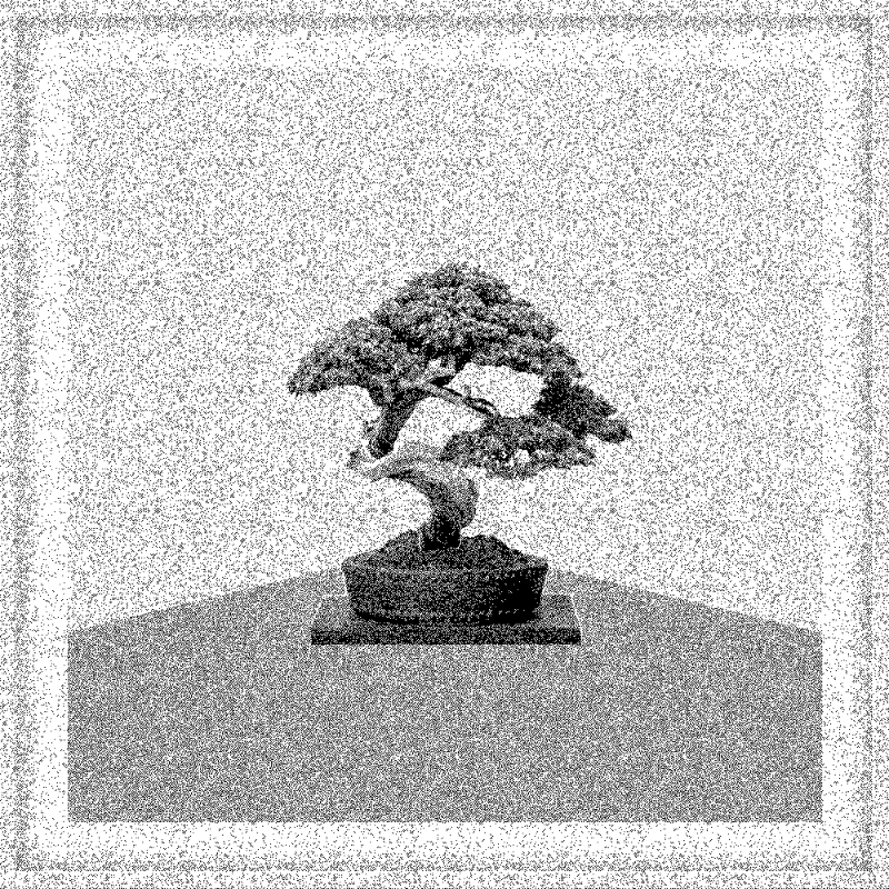 Bonsai Bonanza #809 static NFT preview