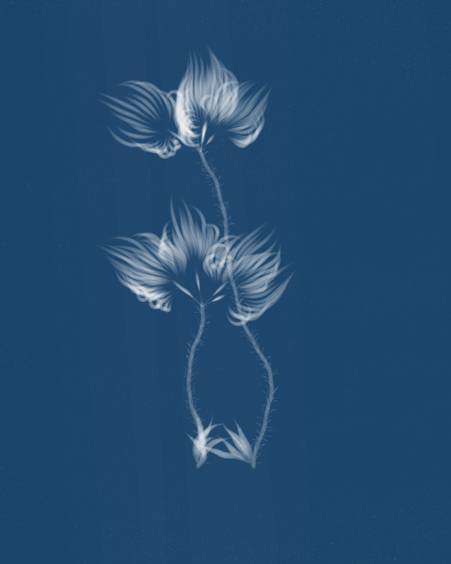 Cyanotypes #274 static token preview