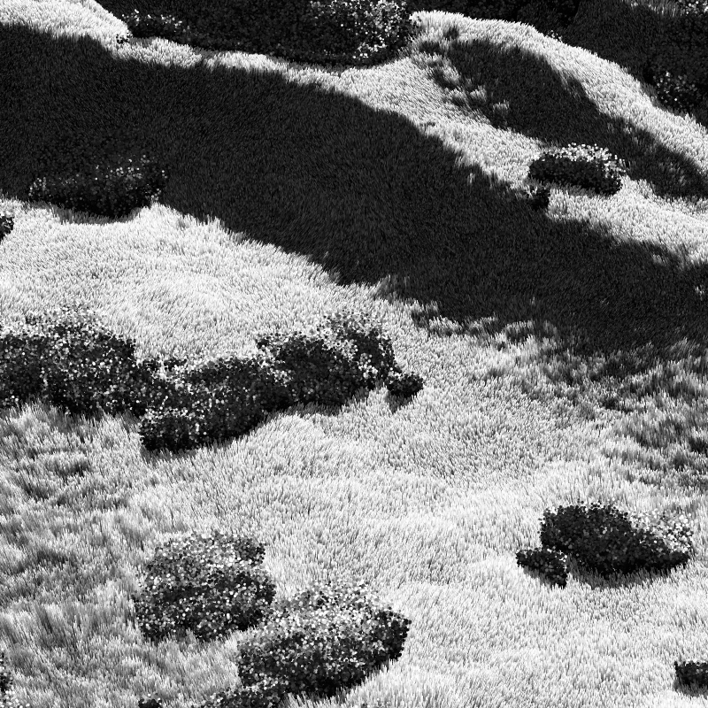 California Hills in Late Sun #195 static NFT preview