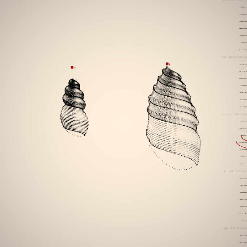 Two Specimen #414 static NFT preview