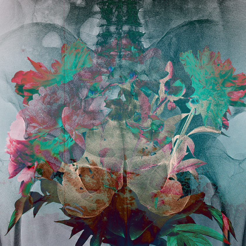 flowers and death #28 static NFT preview