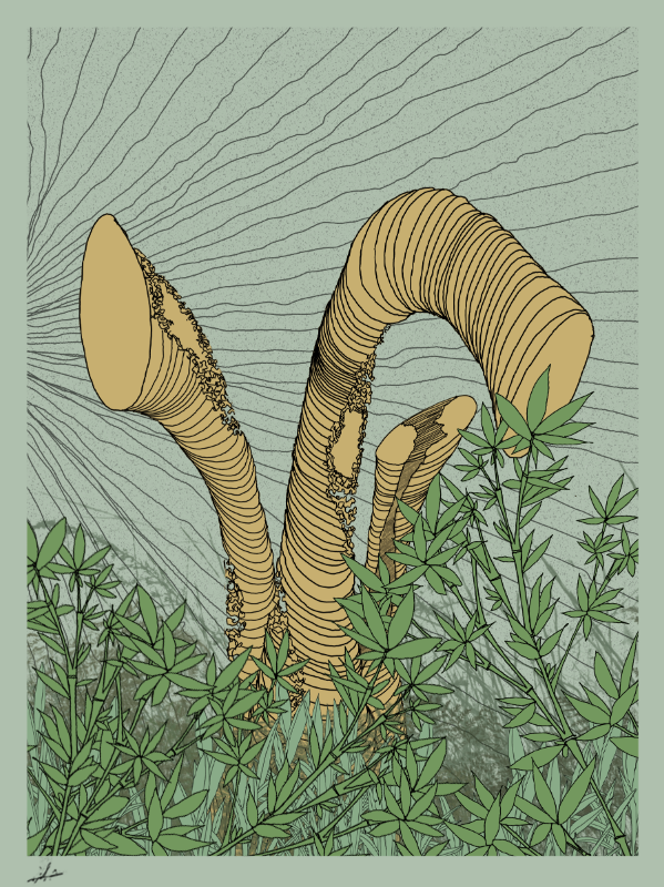 Line art #zentangle2 #56 static NFT preview