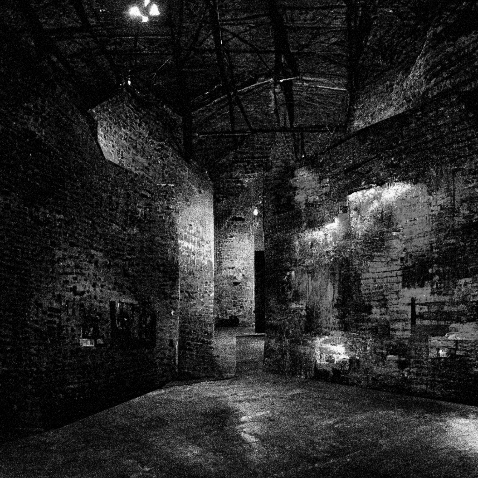 Liminal Newberry #48 static NFT preview