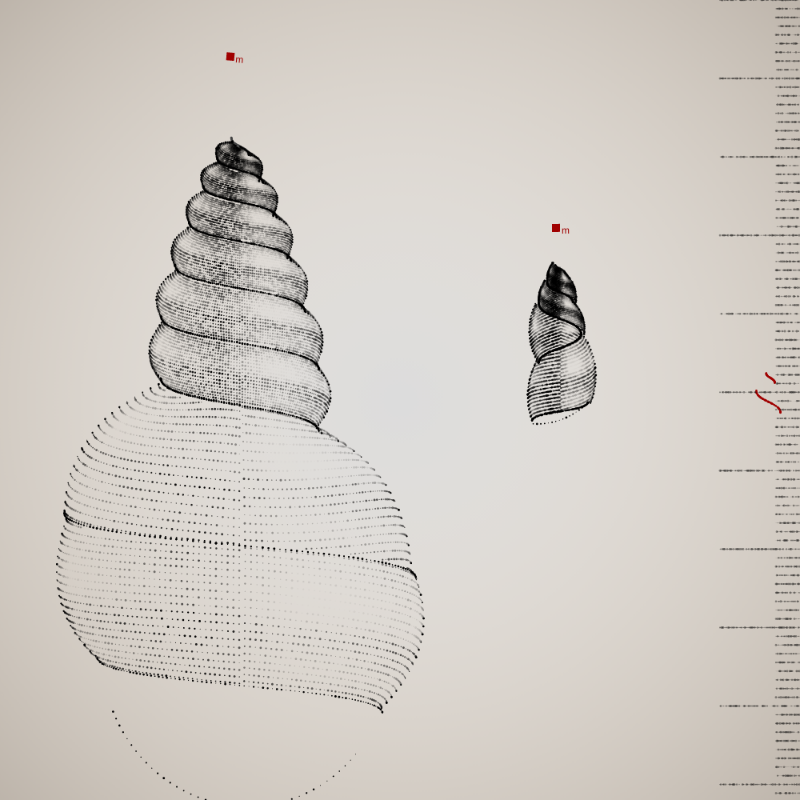 Two Specimen #63 static token preview