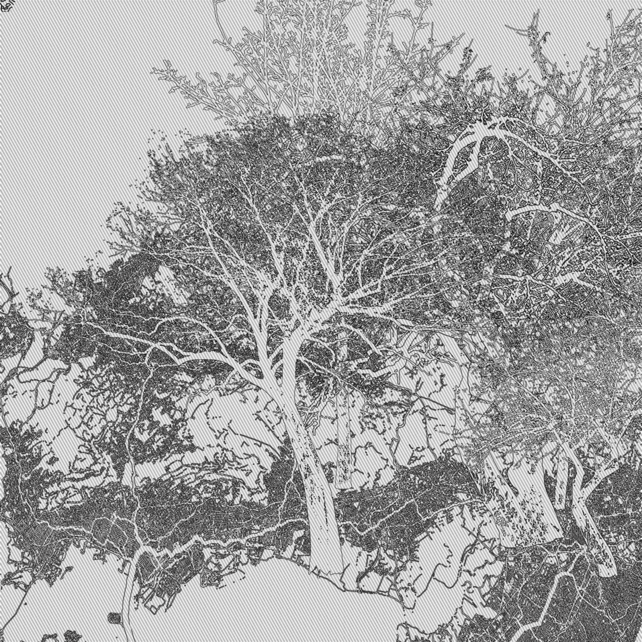The Forest #21 static token preview