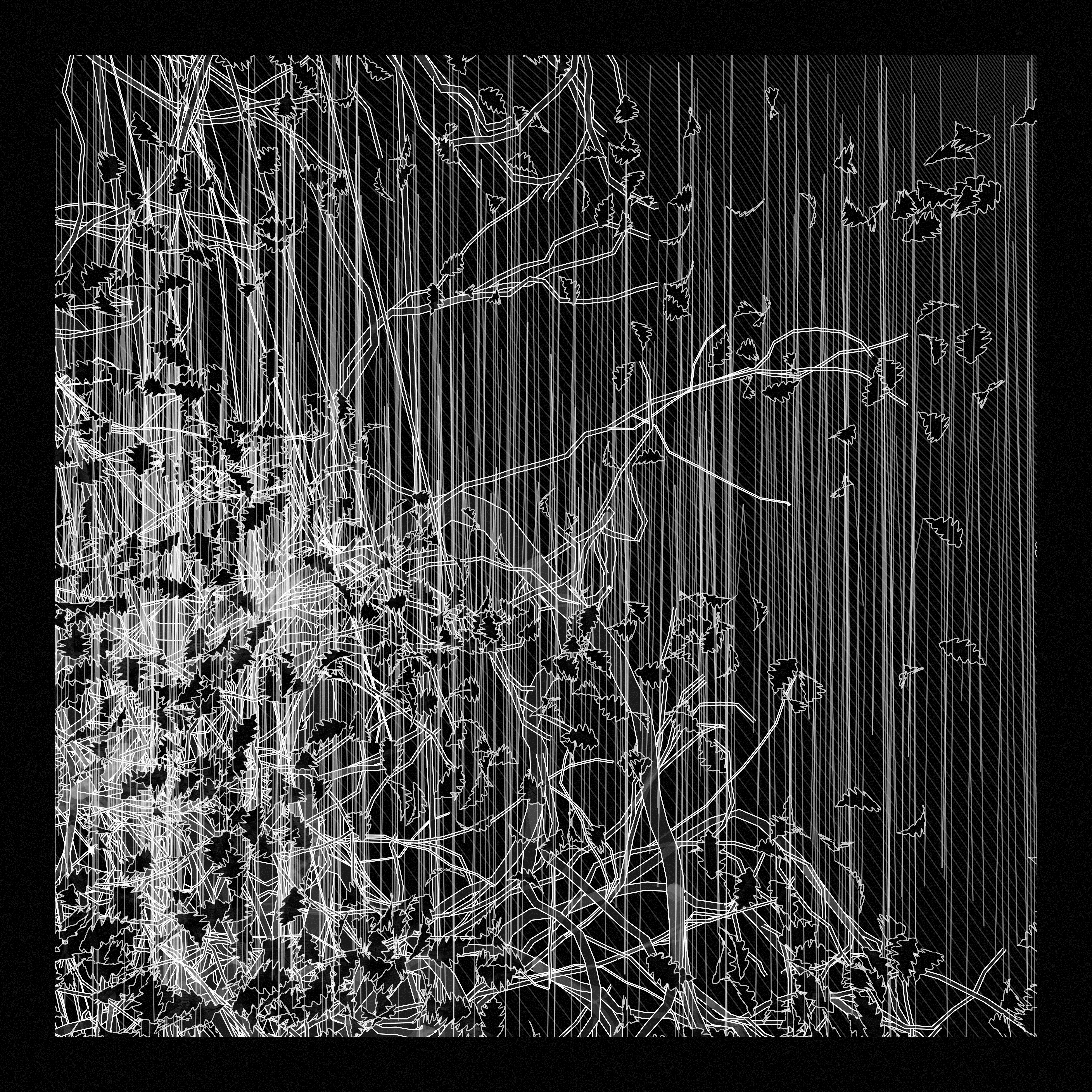A Bugged Forest #848 static token preview