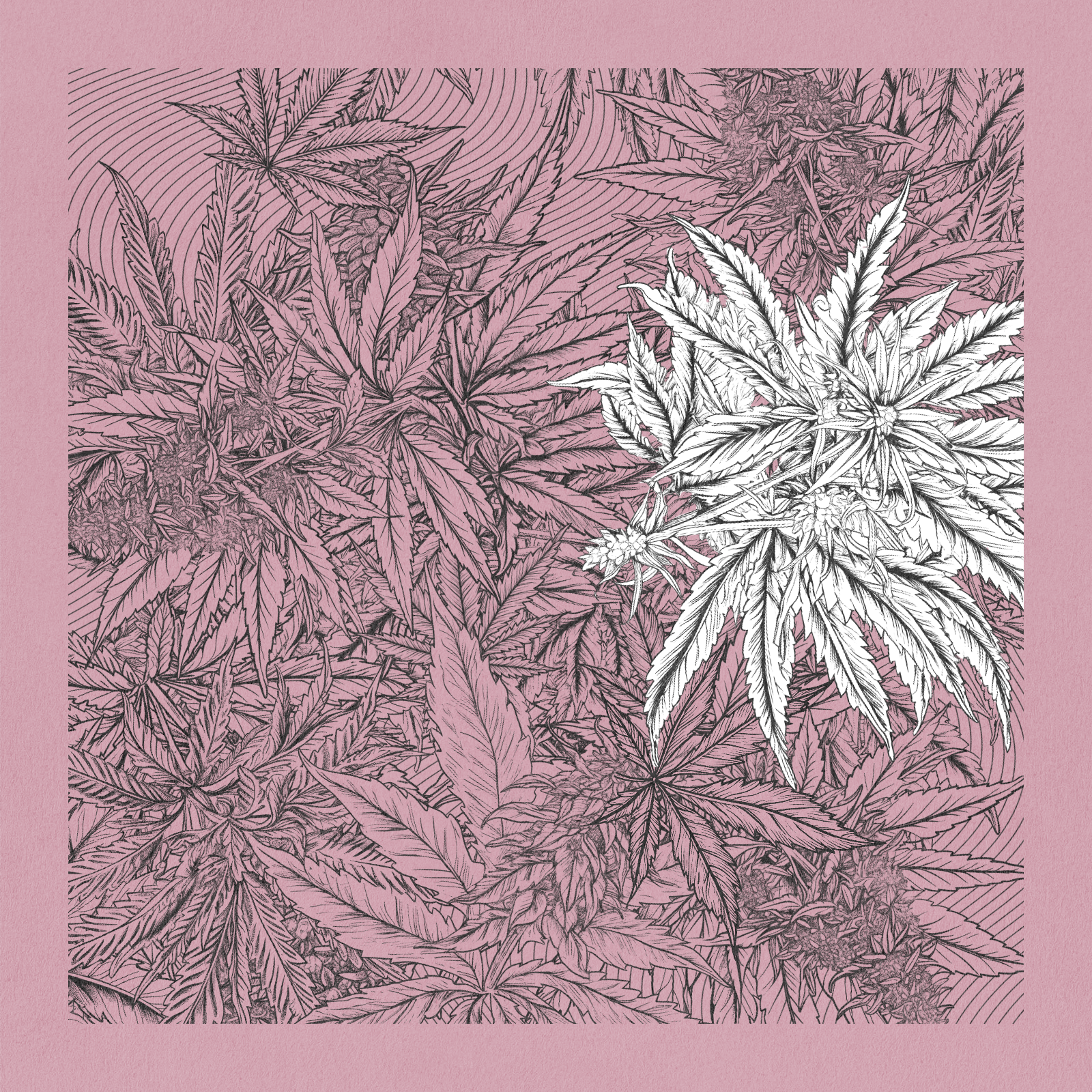 zancannabis #254 static NFT preview